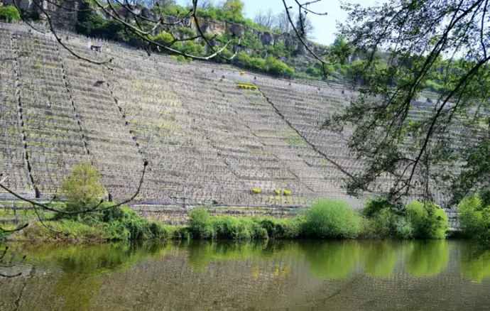 Riverbank and Dam Protection
