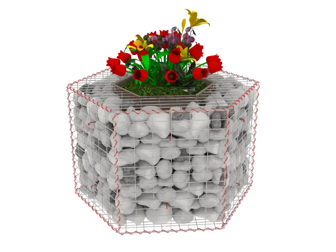 Hexagonal shape gabion plante
