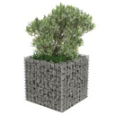 Gabion Rectangular Raised Bed 